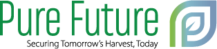 Pure Future LLC