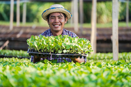 The Importance of Sustainable Agriculture in a Changing Climate