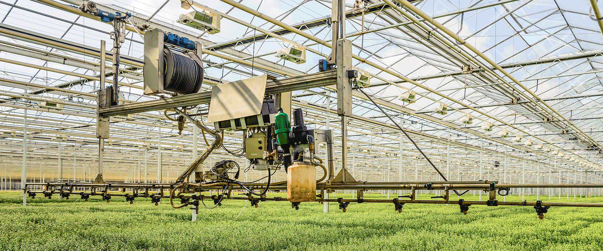 The Role of Controlled Environment Agriculture in Food Security