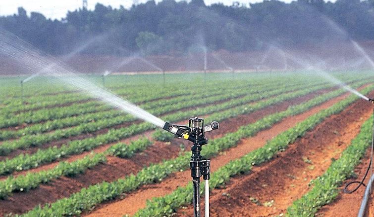 Innovations in Water Purification for Agriculture